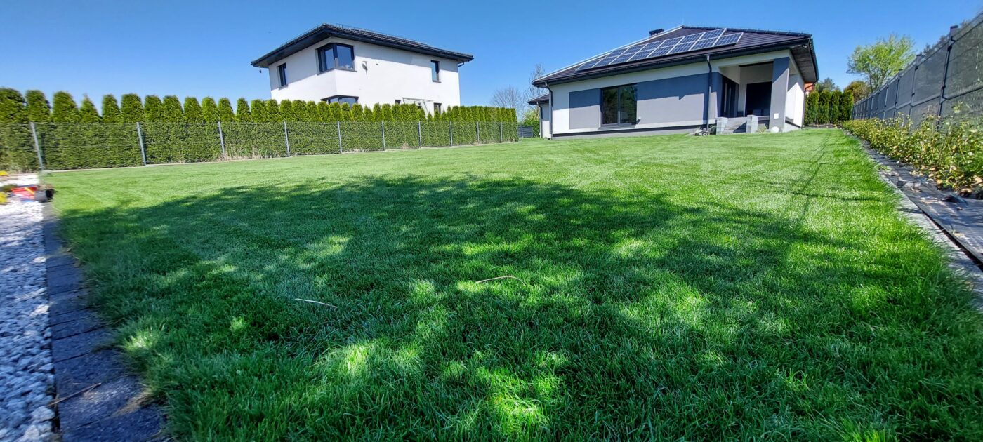 Założenie trawnika z siewu