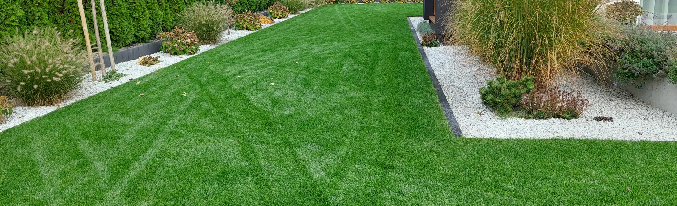 Trawnik z siewu Katowice