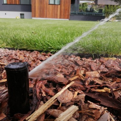 Automatyczne podlewanie trawnika z rolki w ogrodzie w centrum Katowic