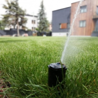Zraszacze automatyczne w ogrodzie w Katowicach – system nawadniania