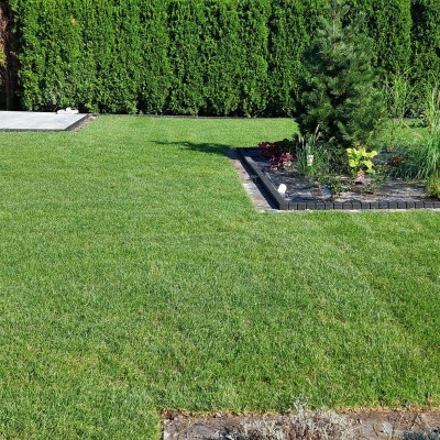 Trawnik w rolce mysłowice