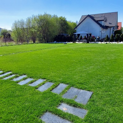 ścieżka z płyt w trawniku w Sosnowcu