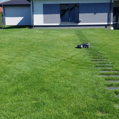 Trawnik z robotem koszącym w Sosnowcu